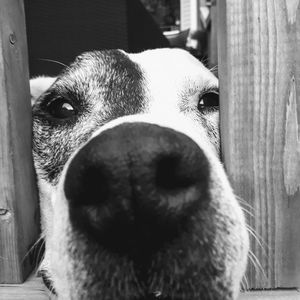 Meet your Posher, Janny